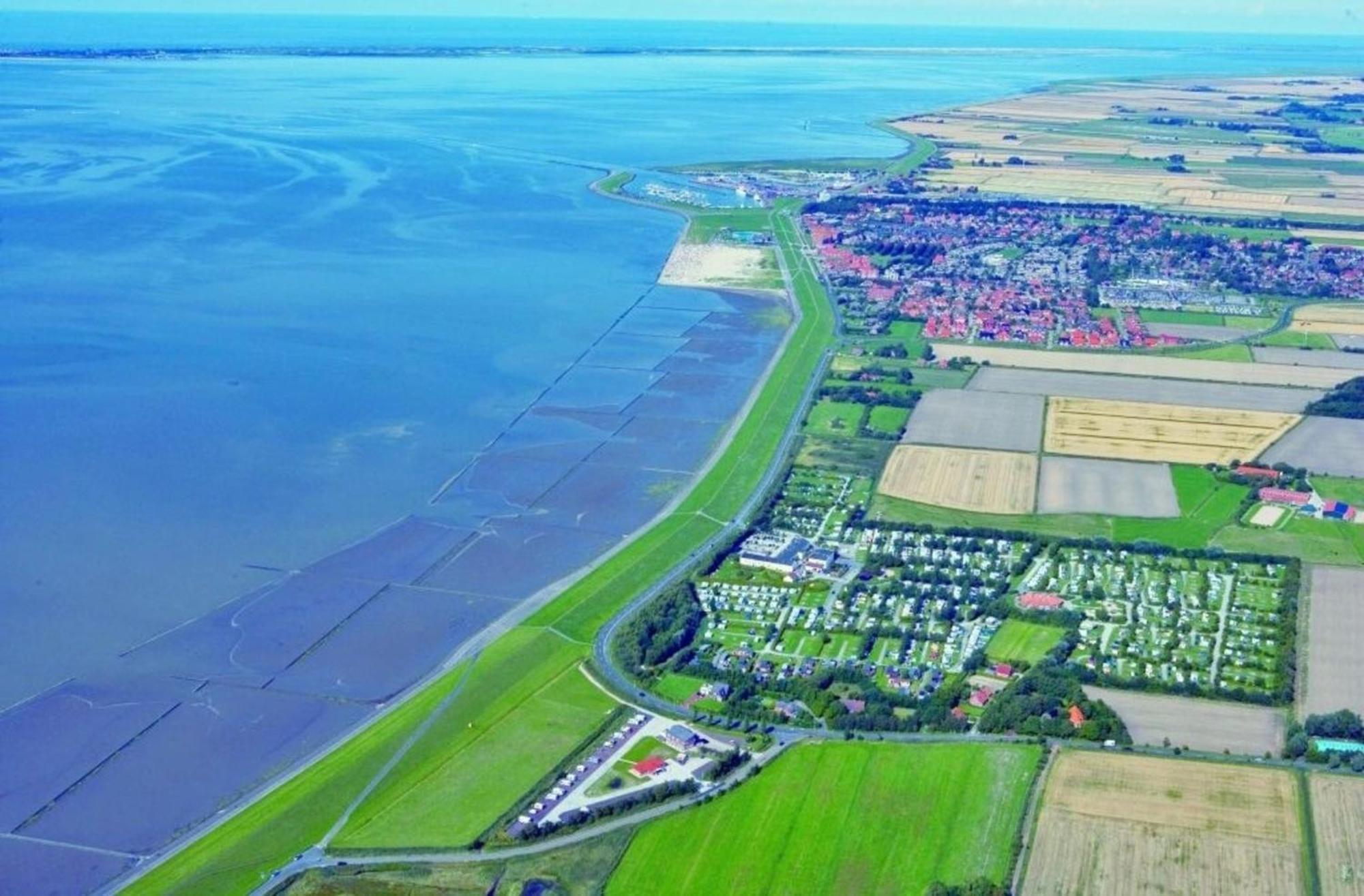 Kleine Nordseewelle Ohne Hund Norden Exteriör bild